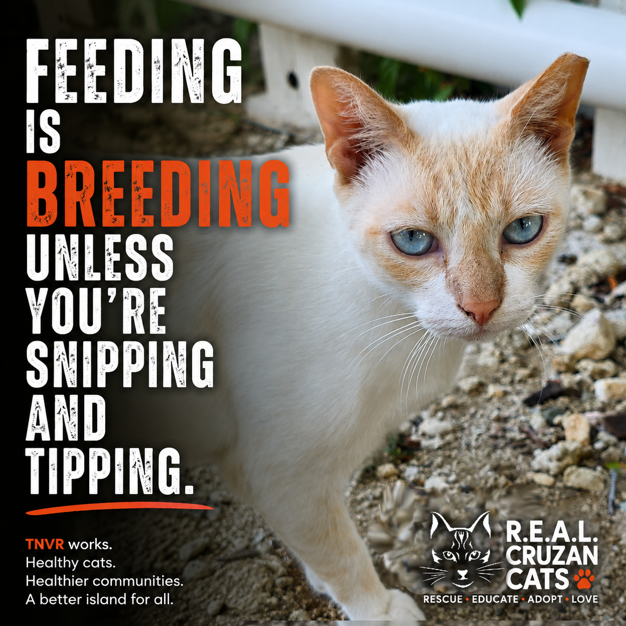 R.E.A.L. Cruzan Cats Feeding is Breeding unless you're Snipping and Tipping graphic