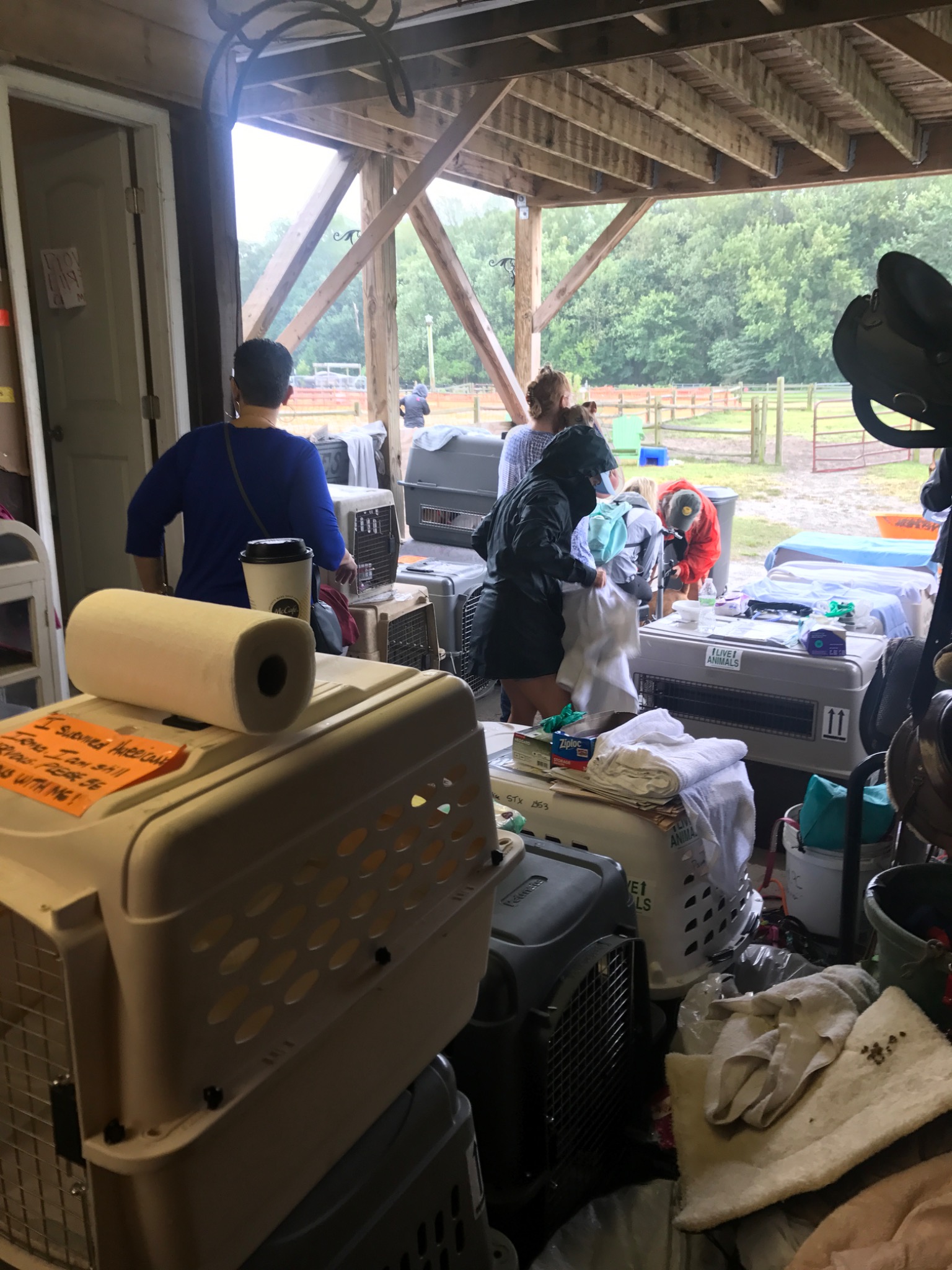 Volunteers caring for evacuated animals in Virginia Beach