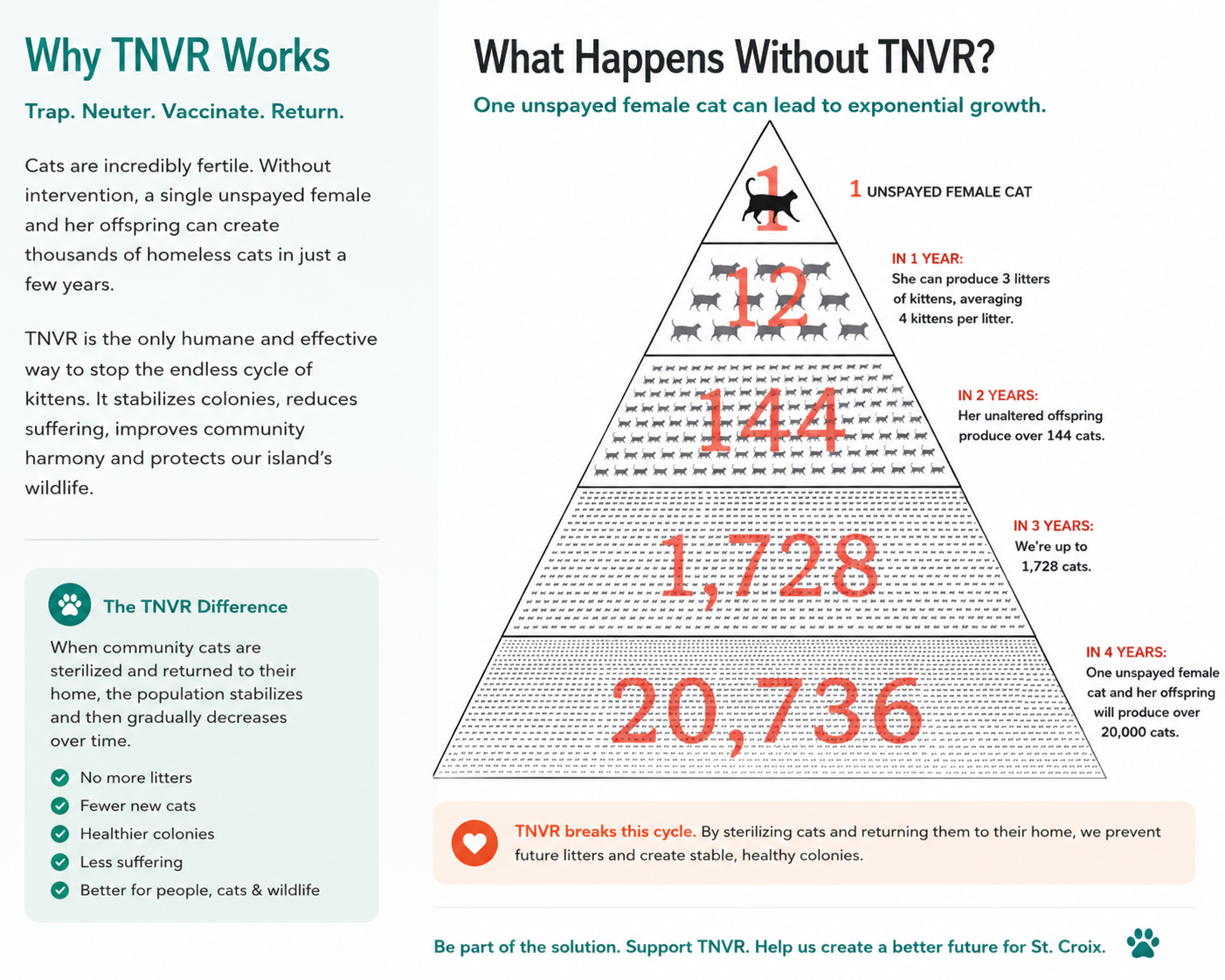 Infographic illustrating how an unspayed female cat and her offspring can lead to rapid population growth, and how TNVR breaks the breeding cycle.