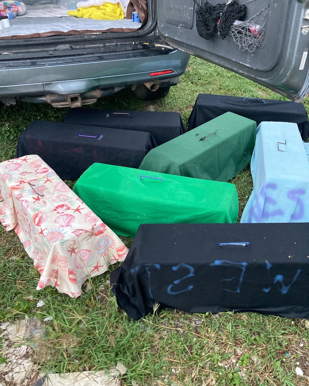 Covered TNVR traps lined up during a clinic