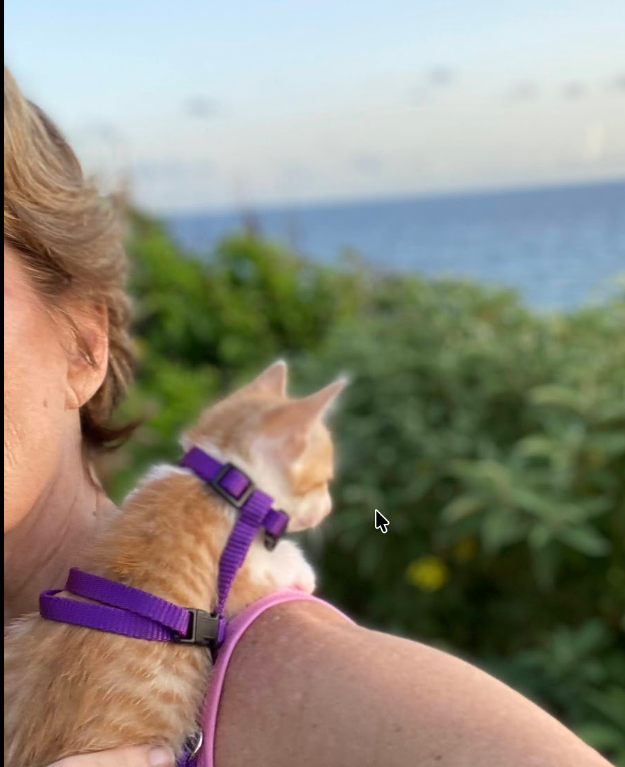 RCC foster caregiver with a kitten on St. Croix